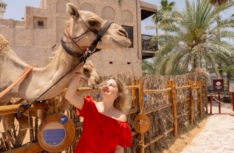 Graceful Aerial Tours in Dubai: Concierge-Curated Helicopter Experiences